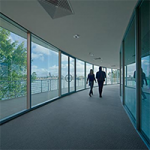 window_films